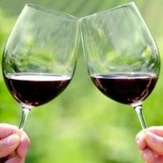 WSET Diploma D3 - Wines of the World