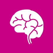 The Brain